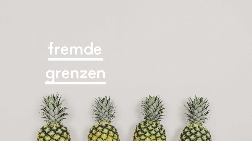 Headerbild zum Blogpost "Fremde Grenzen"
